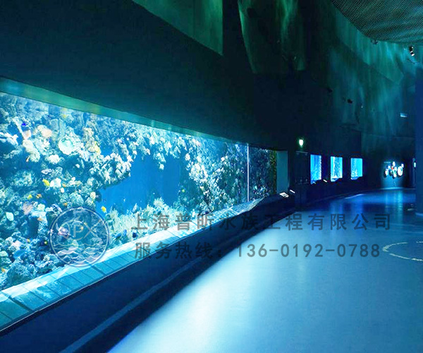 水族館大型魚缸定制