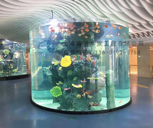 超大亞克力魚缸定制