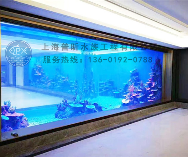 墻體長方形亞克力魚缸