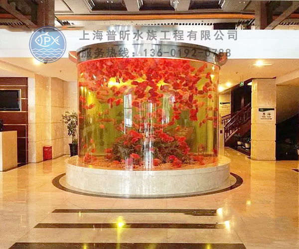 圓柱形亞克力魚缸