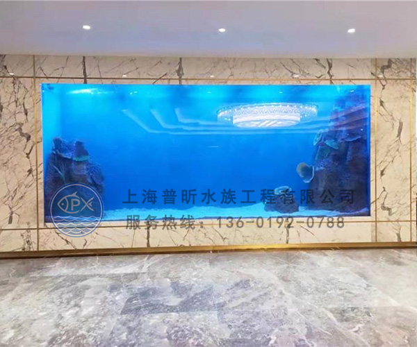 公司定制亞克力魚缸