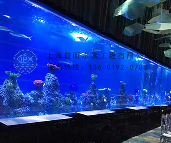 酒店亞克力魚缸定做