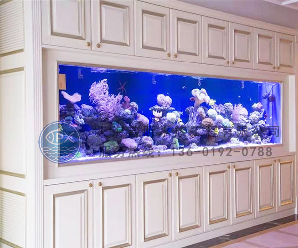 亞克力魚缸定做