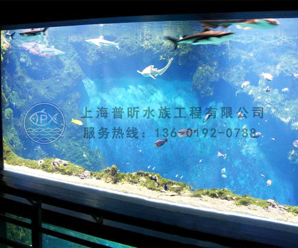 海底定做大型魚缸